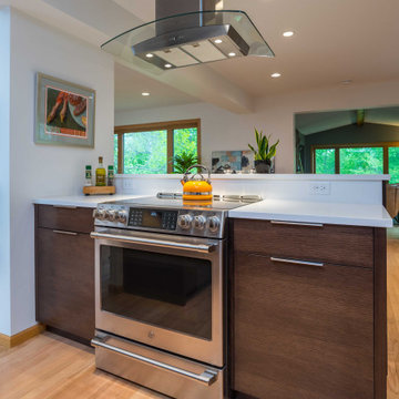 Qualified Remodeler Magazine & Coty Award Winning Modern Kitchen