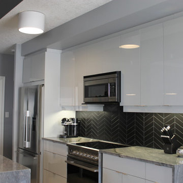 Contemporary high gloss kitchen in downtown luxury condo