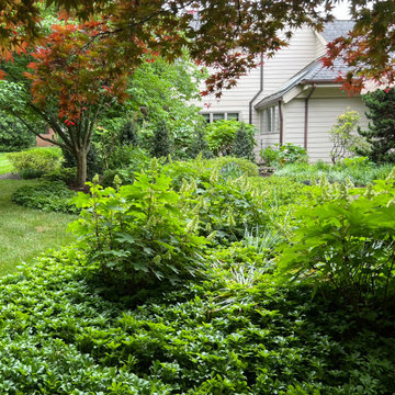 Native Plant Transformation of a HOA restricted landscape