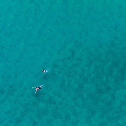 Aqua Swimmers by Joel Coleman - Photographs