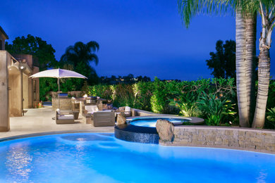 Mid-sized transitional backyard stone and custom-shaped pool photo in San Diego