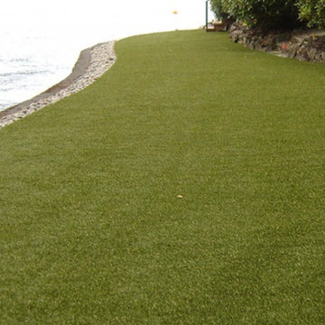 Synthetic Turf Lawns