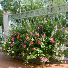 Gardening