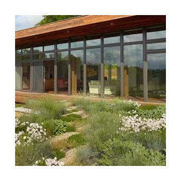 Modern Home