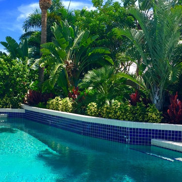Tropical landscape spaces, All around the house.