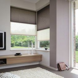 PLEATED BLINDS - Products