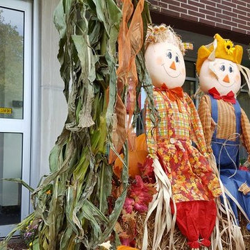 Fall Decor