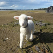 Jennifer Brookman's photo