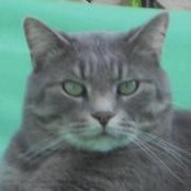 Wendi Rich's photo