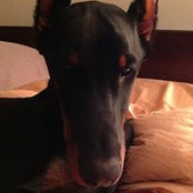 Patricia Pflug's photo