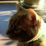 Kim Hunsaker's photo