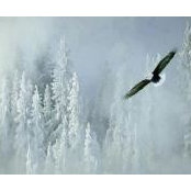 Paul-Eugene Miller's photo