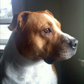 Donald Hill's photo