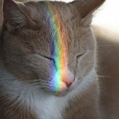Giselle LeDuc's photo