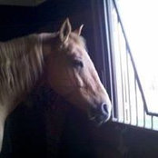 Sharon Mcteague's photo