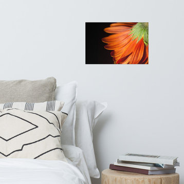 Petite Petals Nature Photography, Floral Unframed Wall Art Print, 12" X 18"
