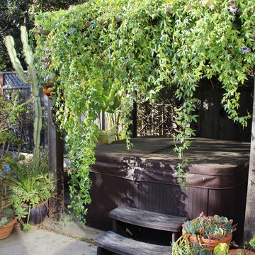 Backyard Kid and Pet-Friendly