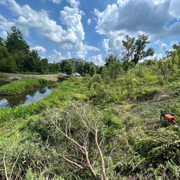 Professional Landscape Maintenance & Outdoor Cleanup