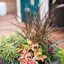 Planters