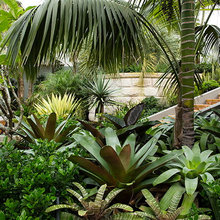 Landscape Ideas