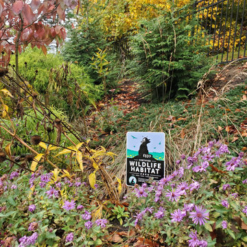 Pollinator Friendly Paradise