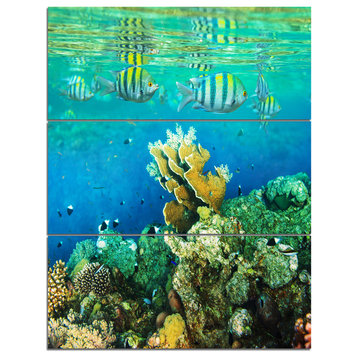 "Fantastic Red Sea Coral Fish" Metal Art, 3 Panels, 28"x36"