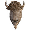 Faux Taxidermy Bison Head Wall Mount, Bronze