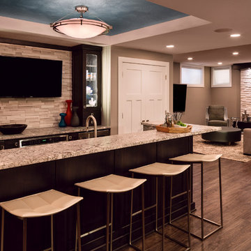 Contemporary Lower Level Remodel