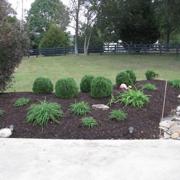 Landscaping Photos
