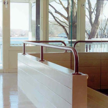 Interior Contemporary Railings