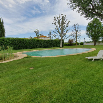 Natural swimming pool