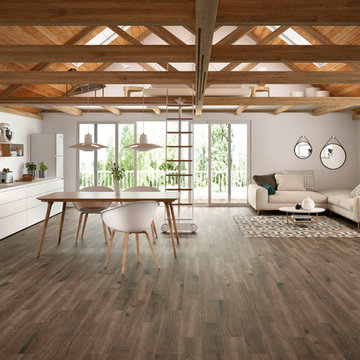 Modern Kitchens