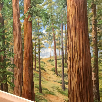 Murals - Trompe l'Oeil