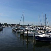 JoAnna Collins's photo