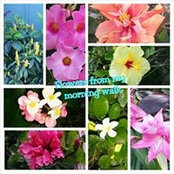 Tricia Tarleton's photo