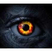 Michelle Manen's photo