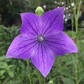 Keri Alcock's photo