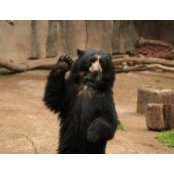 Andres Bechara's photo