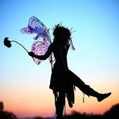 Denise Hansen's photo