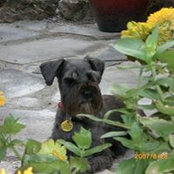 Faye Smith's photo