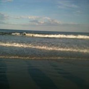 Sandy O'Briens foto