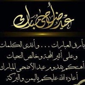 Nour El Abasiry's photo