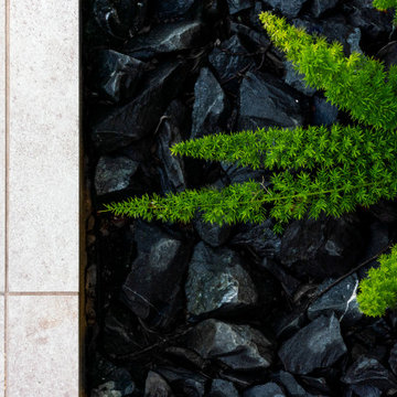 Back Yard Landscape