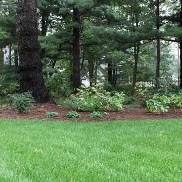 Indianwood Project