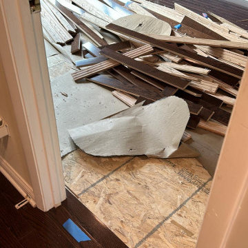 Installation: Hardwood floors & steps