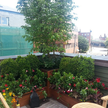 Wisteria & Rose roof deck designs. Visit www.wisteriaandrose.com for more info!