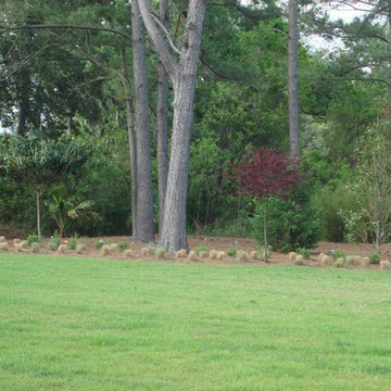 Carolyn's Landscapes Portfolio