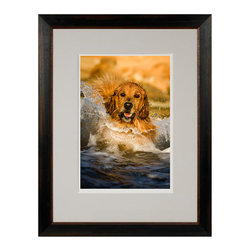 Framed Prints - Products