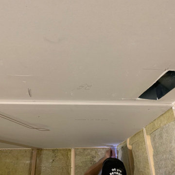 Basement with Speak easy, Theater, Workout room and Lounge area - under constru