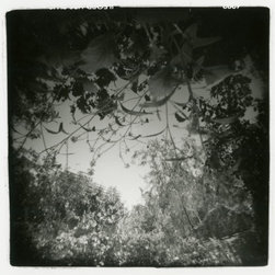 Photography - Products